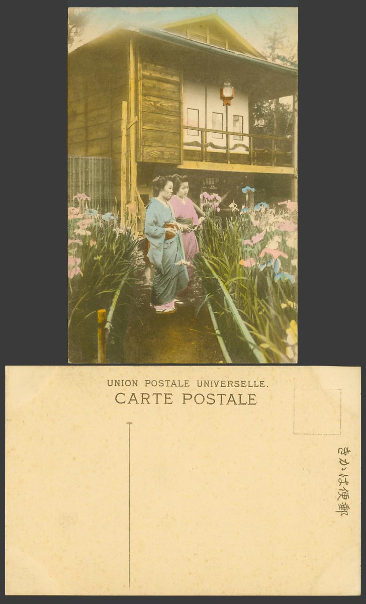 Japan Old Hand Tinted Postcard 2 Geisha Girls Women Ladies and Iris Flowers 菖蒲園