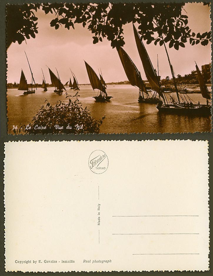 Egypt Old Real Photo Postcard Le Caire Vue du Nil Sailing Boats Nile River Cairo