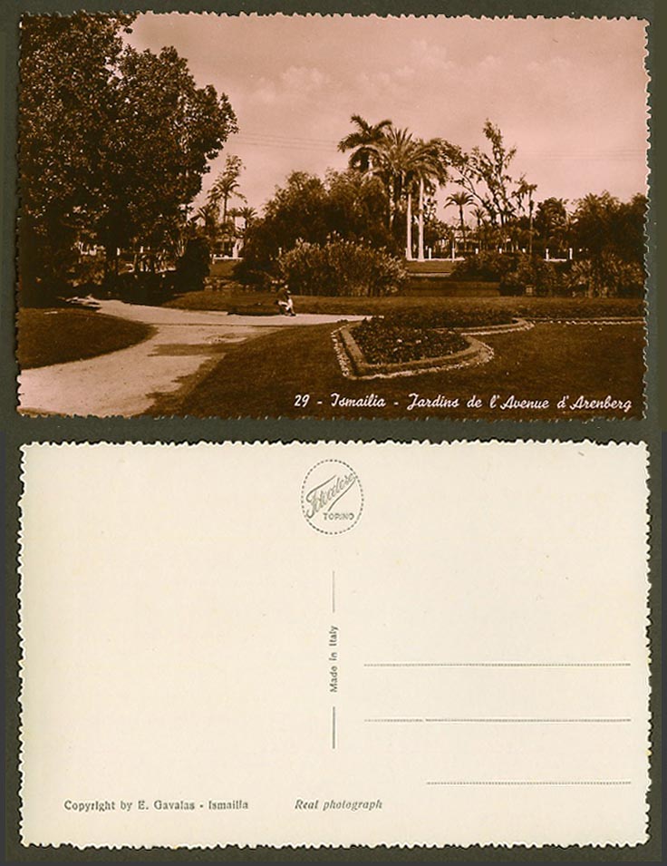 Egypt Old Real Photo Postcard Ismailia Jardins de l'Avenue d'Arenberg Gardens 29