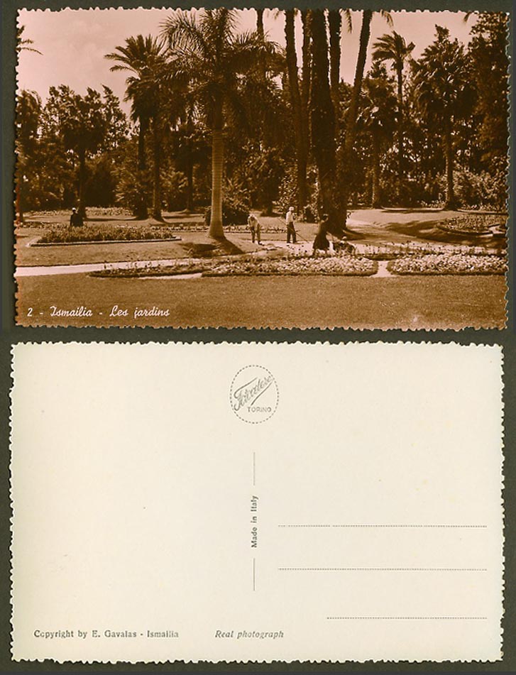 Egypt Old Real Photo Postcard Ismailia Les Jardins, Gardens Palm Trees Gardeners