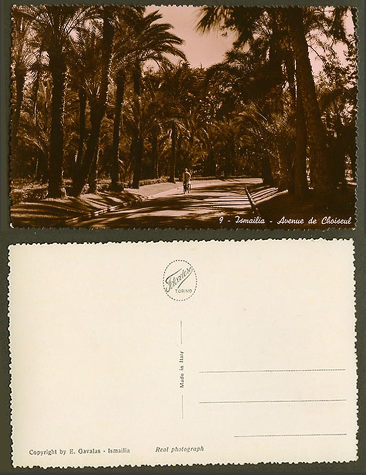 Egypt Old Real Photo Postcard Ismailia Avenue de Choiseul Cyclist Palm Trees N.9