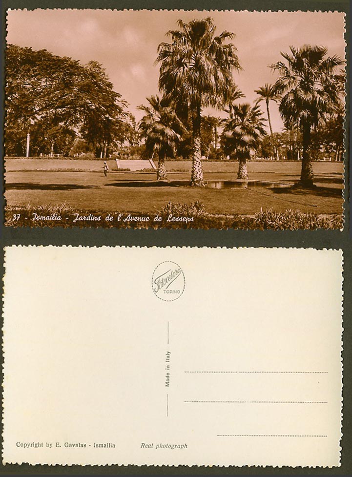 Egypt Old Real Photo Postcard Ismailia Jardins de l'Avenue de Lesseps Gardens 37