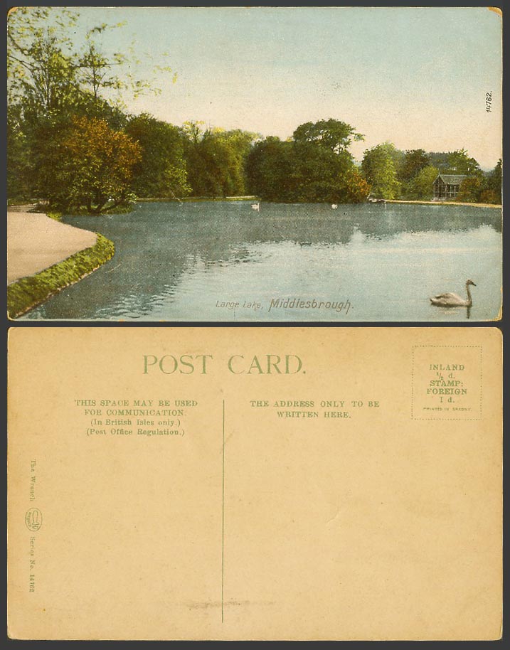 Middlesbrough Middlesborough, Large Lake Swan Bird Yorkshire Old Colour Postcard