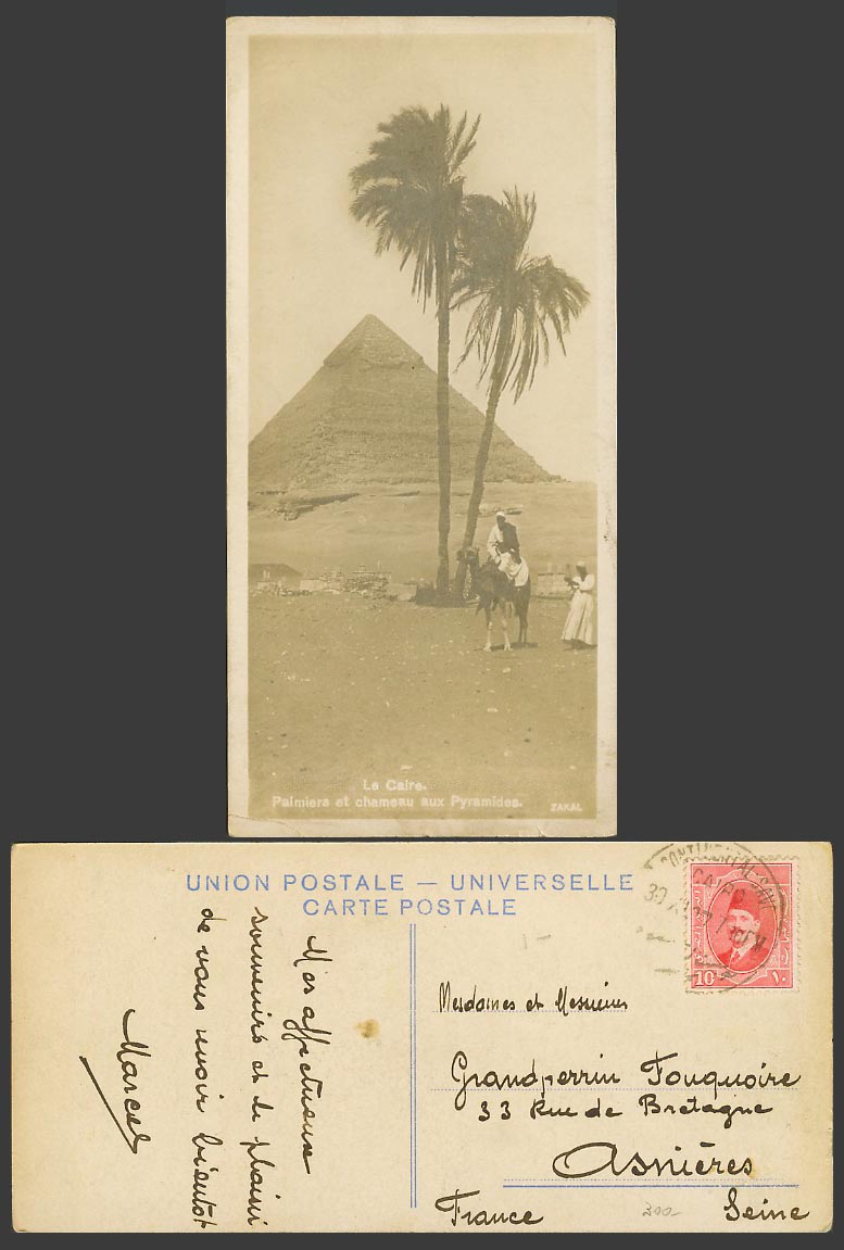 Egypt Old Real Photo Postcard Cairo Palmiers Chameau Pyramides Pyramid, Bookmark
