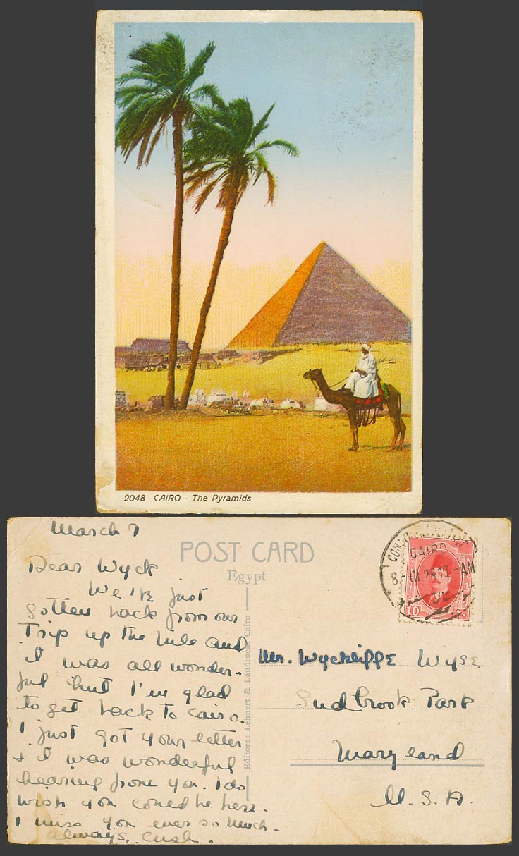 Egypt 10m 1928 Old Colour Postcard Cairo The Pyramids Camel Rider Palm Tree 2048