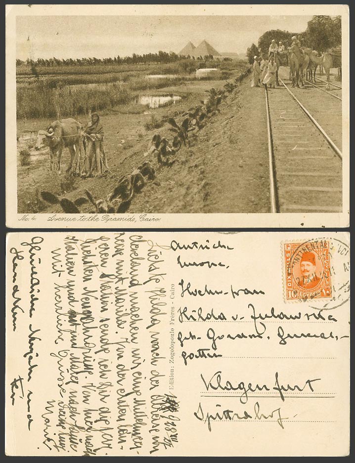 Egypt 10m 1928 Old Postcard Cairo Avenue to Pyramids Railroad Camel Cattle Cacti