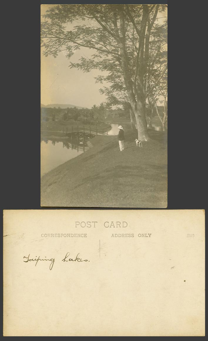 Perak Taiping Old Real Photo Postcard Bridge over Lakes, Man & Dog Puppy Gardens