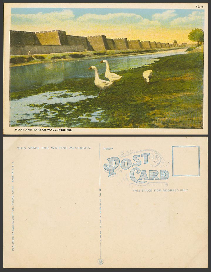 China Old Colour Postcard Moat and Tartar Wall Peking Pekin Goose Geese Birds 北京