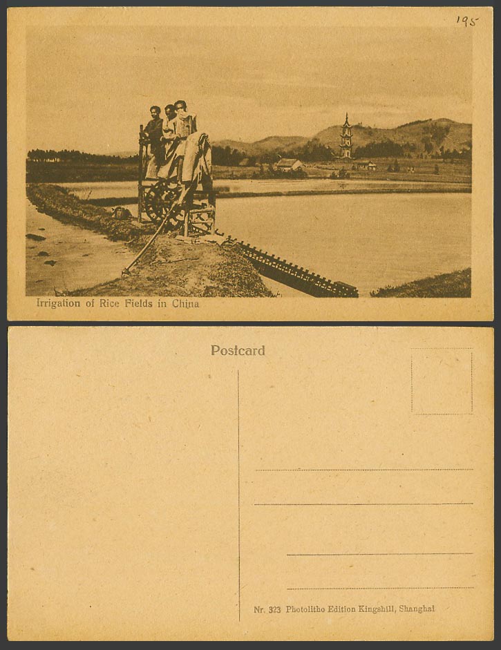 China c1920 Old Postcard IRRIGATION of RICE FIELDS Shanghai Farmer Pagoda Temple