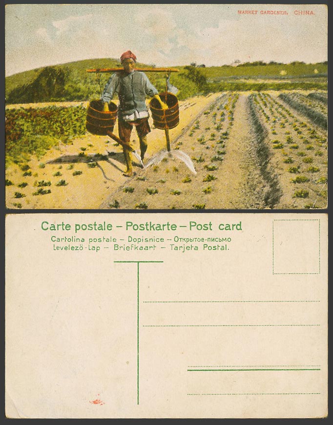 China Old Colour Postcard Chinese Market Gardener, Native Farmer Watering Fields