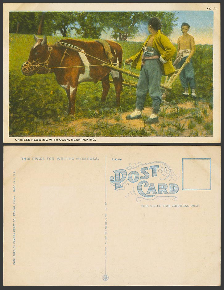 China Old Colour Postcard Chinese Farmers Plowing with Oxen, near Peking, Cattle