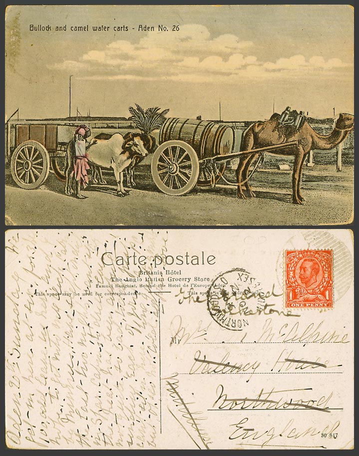 Aden GB KG5 1d Downey Head 1912 Old Colour Postcard Bullock & Camel Water Carts