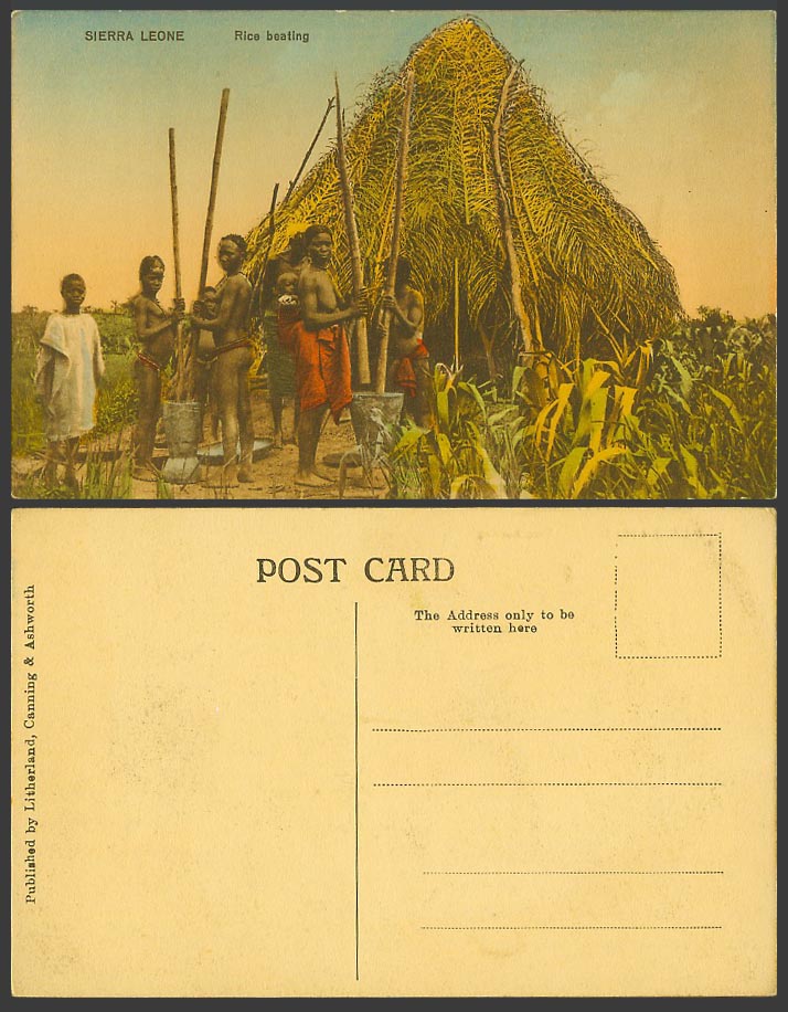 Sierra Leone Old Hand Tinted Postcard Rice Beating, Native African Black Workers