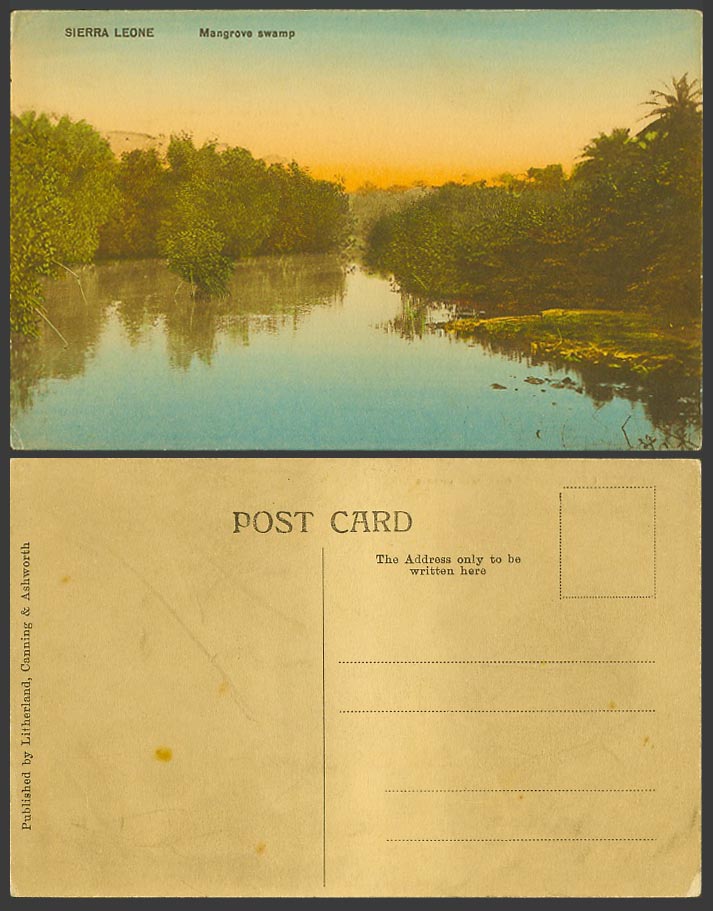Sierra Leone Old Hand Tinted Postcard Mangrove Swamp, Trees and Sunset, Panorama
