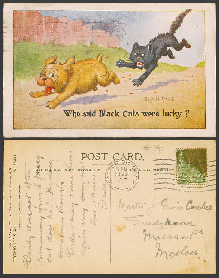 Donald McGill 1917 Old Postcard Who Said Black Cats were Lucky? Dog Cat Run 1881