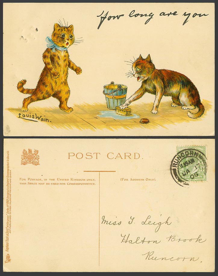 Louis Wain Artist Signed Cats How Long Are You Tuck Write Away 1906 Old Postcard