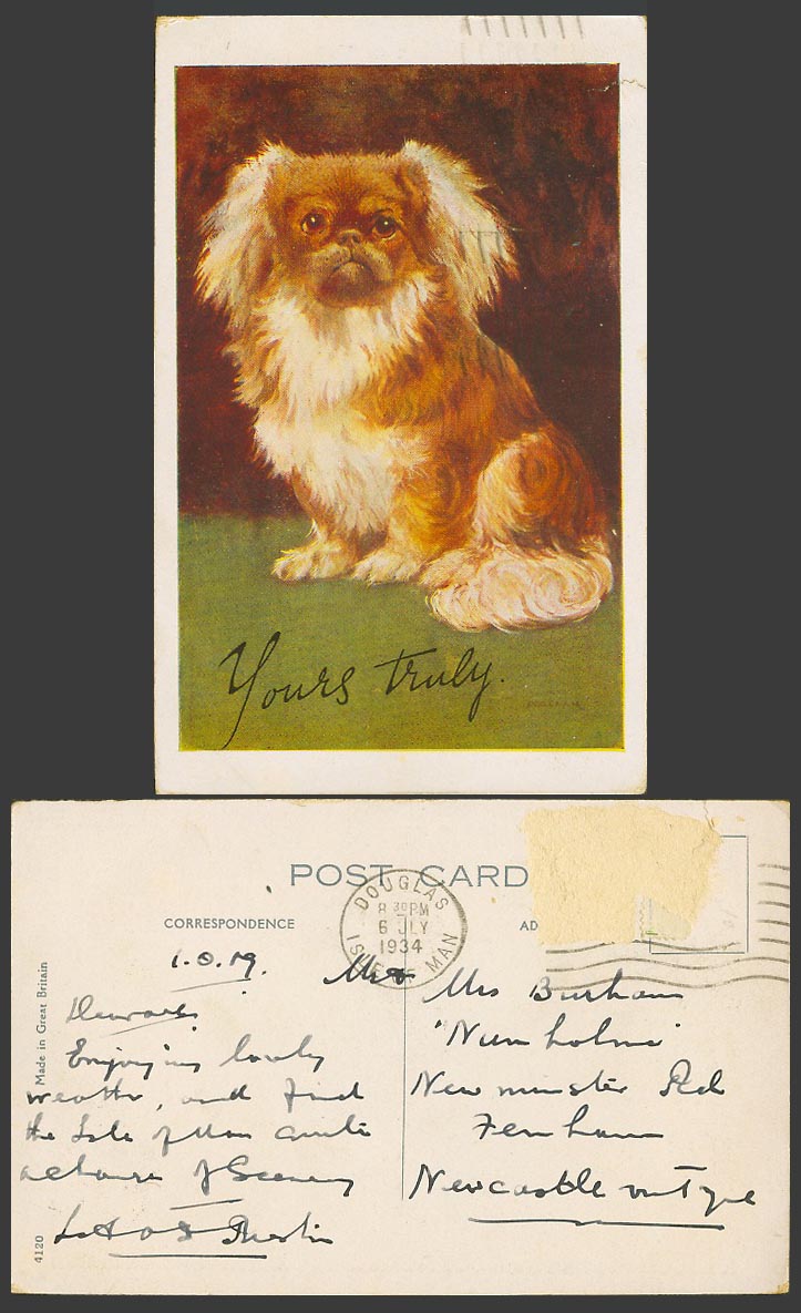 Pekinese Pekingese Dog Puppy 1934 Old Colour Postcard ART Pet Animal Yours Truly