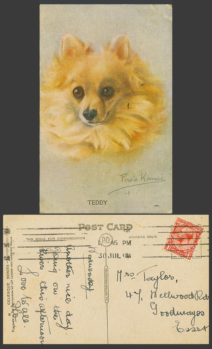 Persis Kirmse Artist Signed Teddy Dog Puppy, KG5 1d. 1919 Old Postcard Art Drawn