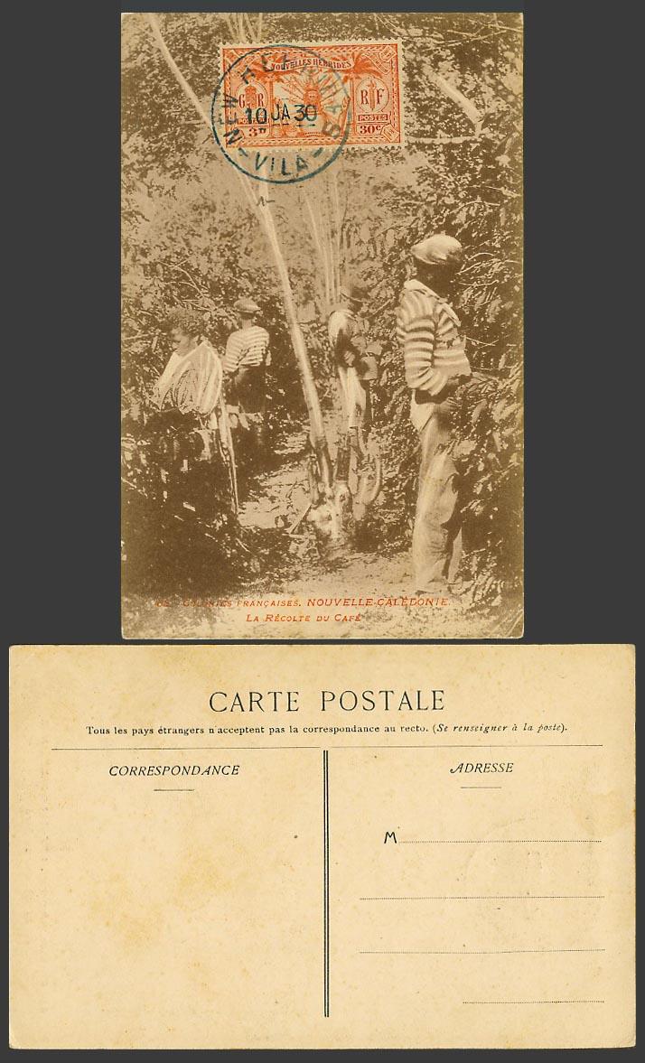 New Caledonia 3d 1930 Old Postcard La Récolte du Café, Coffee Harvest Harvesting
