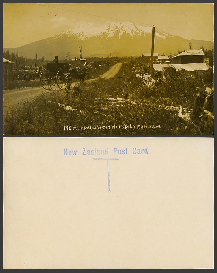New Zealand Old Real Photo Postcard Mt. Ruapehu from Horopito Ruapehu Horse Cart