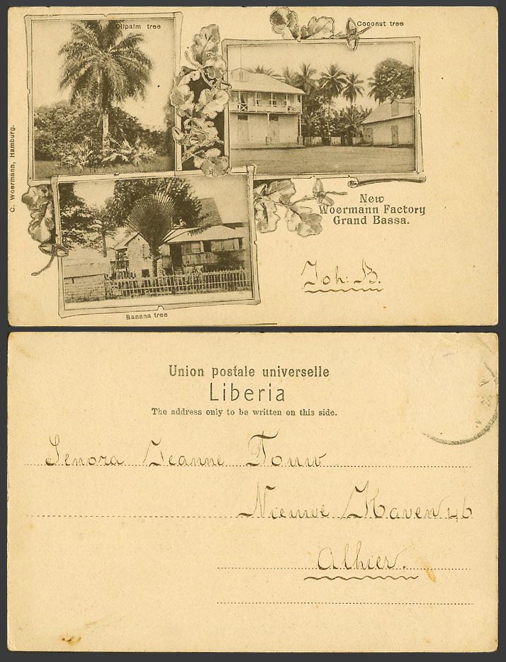Liberia Old UB Postcard New Woermann Factory Grand Bassa Banana & Oil Palm Trees