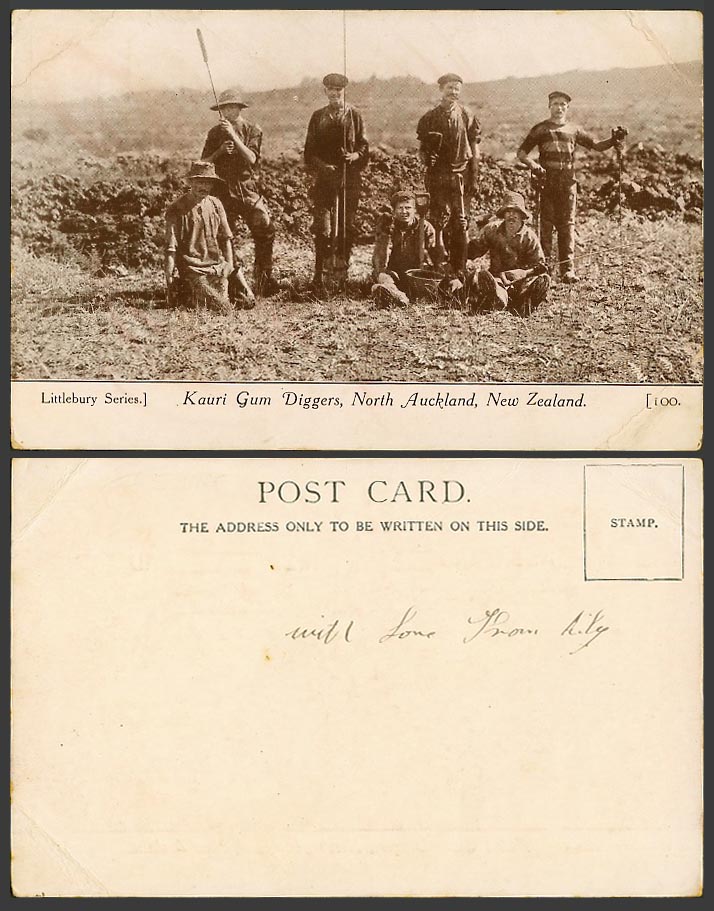 New Zealand Old UB Postcard Kauri Gum Diggers, North Auckland, Littlebury Series