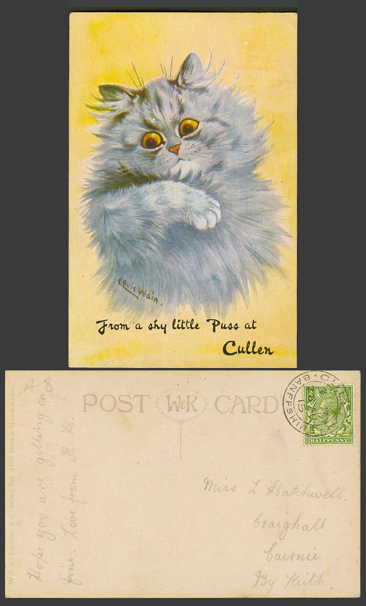 Louis Wain Artist Signed Cat, From a Shy Little Puss at Cullen 1915 Old Postcard
