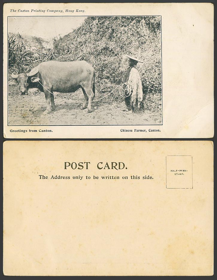 China Old UB Postcard Canton Native Chinese Farmer Water Buffalo Caxton HongKong