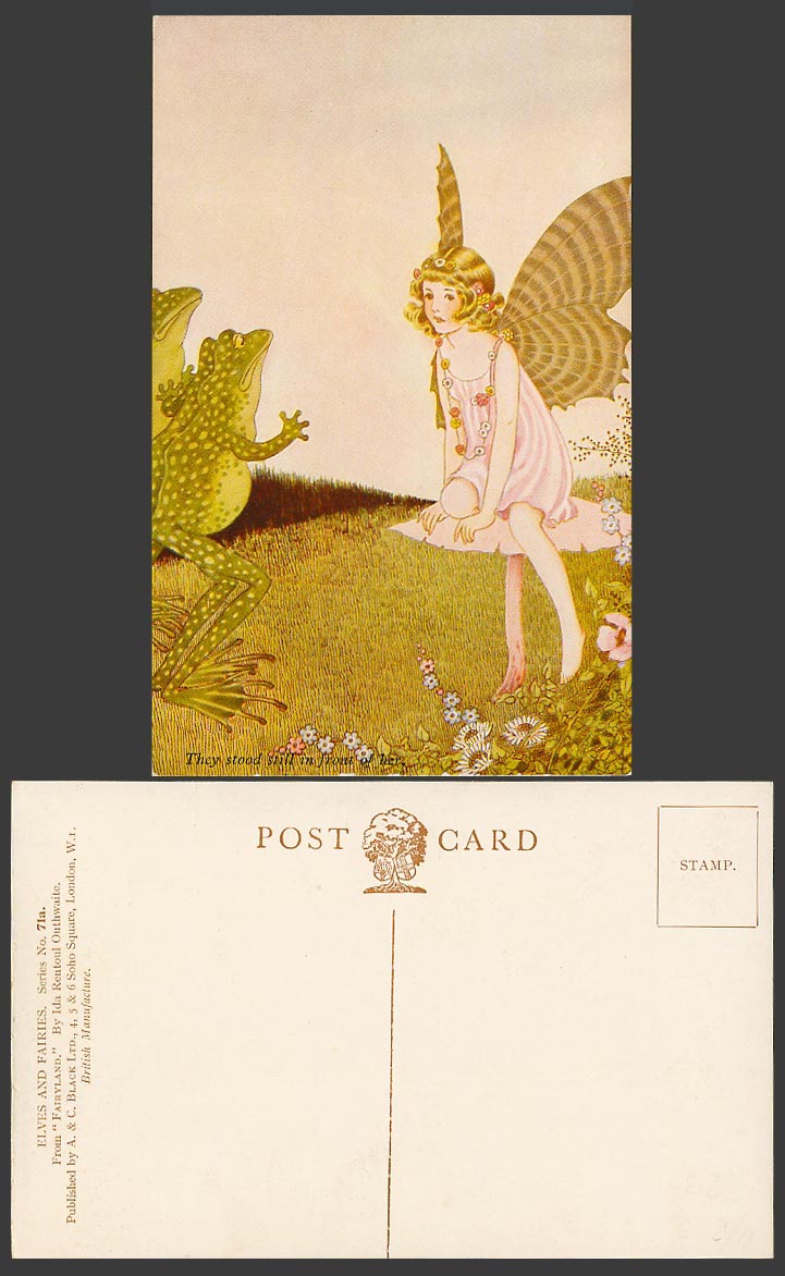 OUTHWAITE Old Postcard Frog FROGS, They stood in Front of Her Fairy Girl Flowers