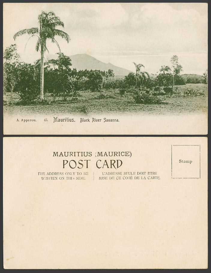 Mauritius Old Postcard Black River Savanna, Palm Trees Hill Mountain Ile Maurice