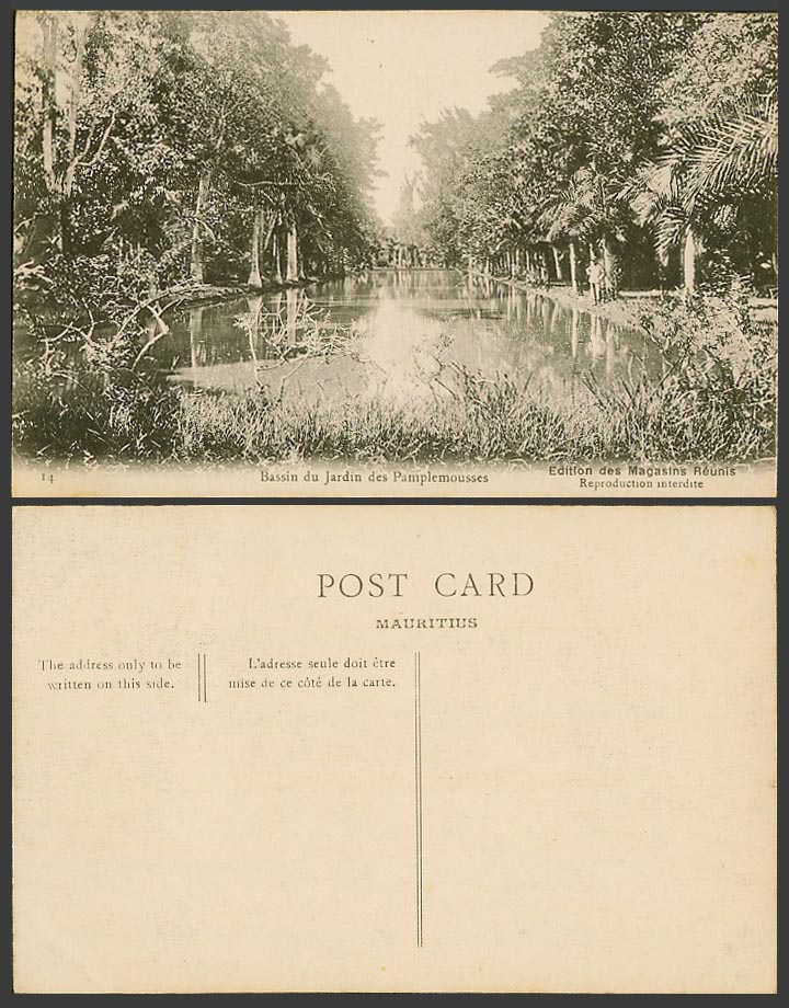 Mauritius Old Postcard Bassin du Jardin des Pamplemousses, Botanical Garden Lake
