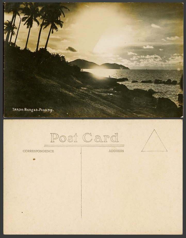 Penang Old Real Photo Postcard Tanjong Bungah, Beach Seaside Panorama Palm Trees