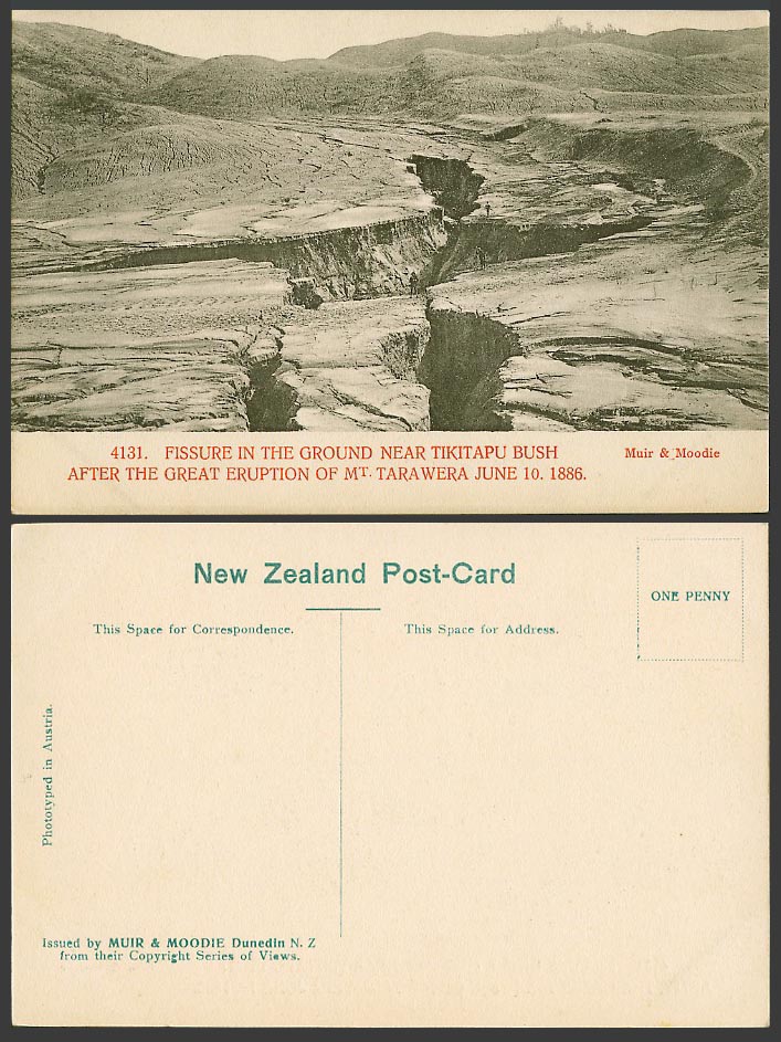 New Zealand, Tikitapu Bush Fissure after Mt. Tarawera Eruption 1886 Old Postcard