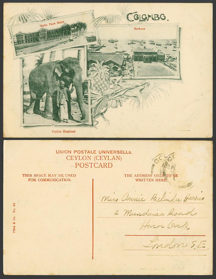 Ceylon Old Multiview Postcard Ceylon Elephant Galle Face Hotel Harbour Pineapple
