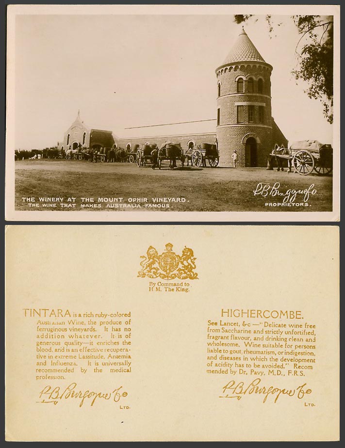 Australia Old Postcard Winery at Mount Ophir Vineyard Wine Makes OZ Famous Carts