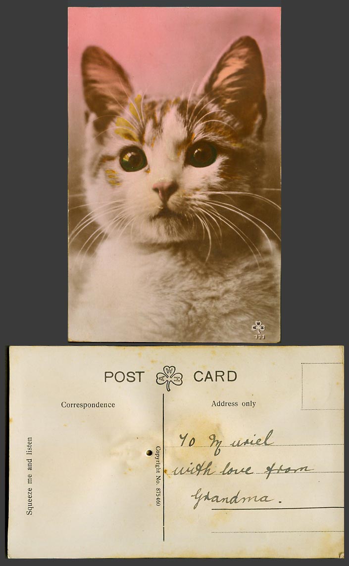 Cat Kitten Squeaking Squeaky Squeaker Novelty Squeeze Me and Listen Old Postcard