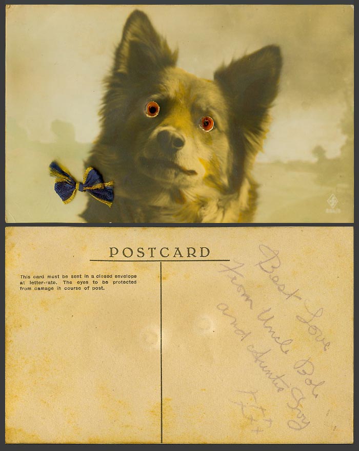 Dog Puppy with Orange Glass Beads Eyes, Love from Uncle Bob Novelty Old Postcard
