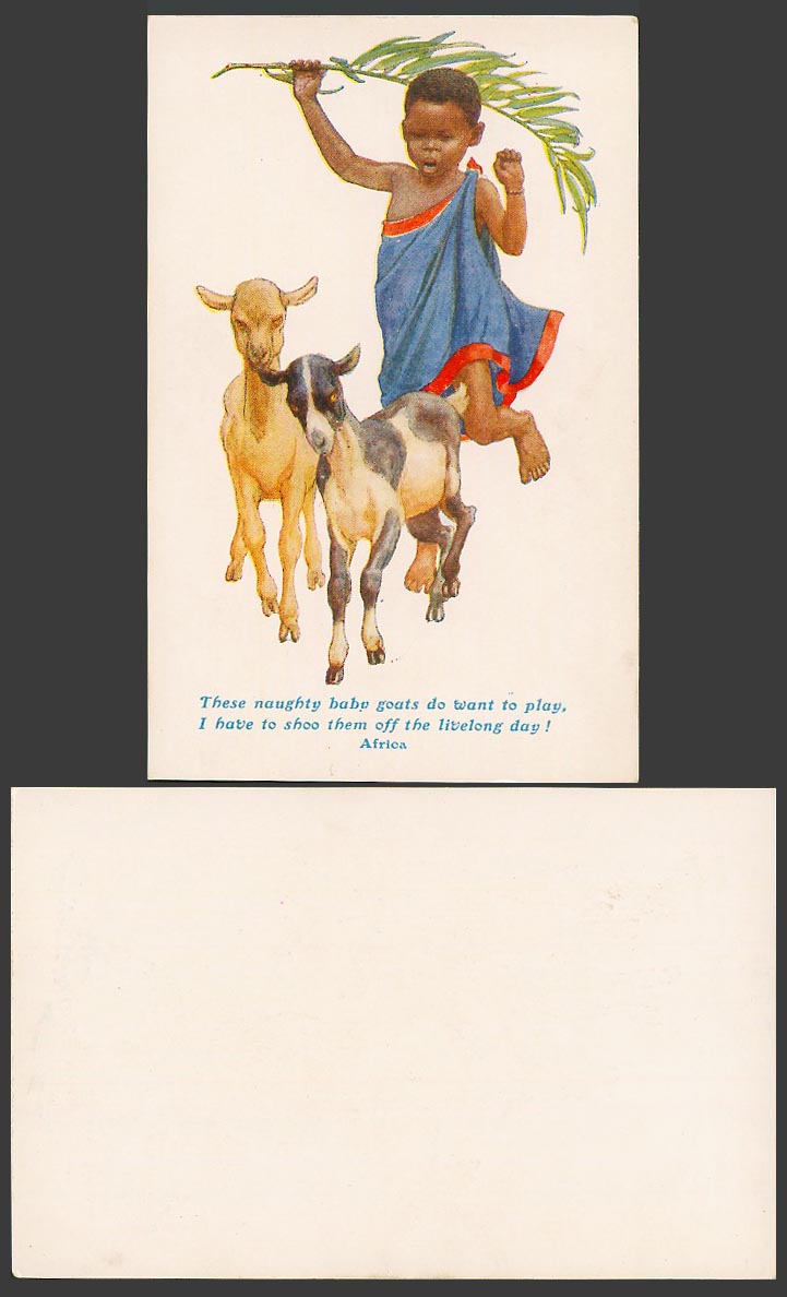 Africa Old Postcard African Black Goatherd, Shoo off, Baby Goats Do Want to Play