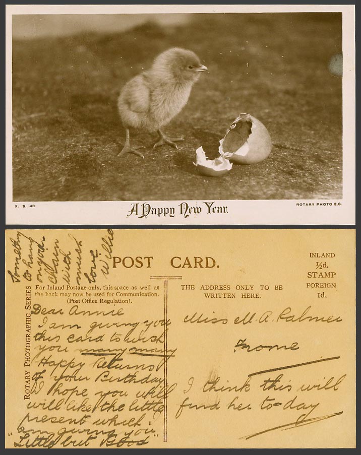 Chick Bird & Egg A Happy New Year Greetings Old Real Photo Postcard Rotary Photo