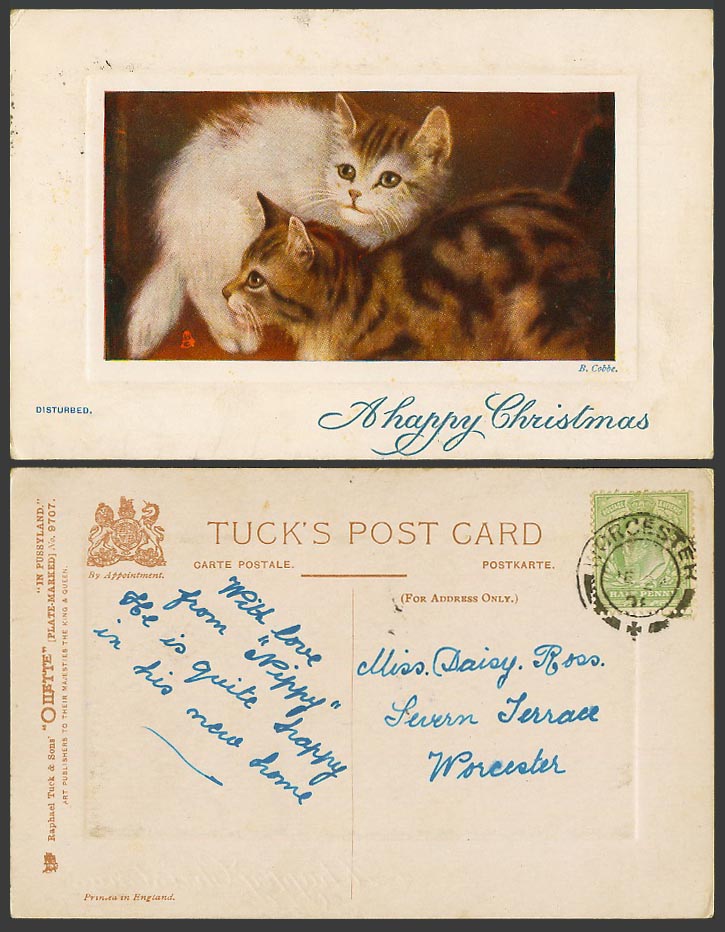 Pussy Cats Kittens Disturbed B. Cobbe A Happy Christmas 1908 Old Tuck's Postcard