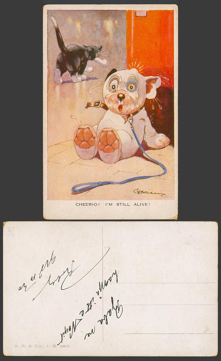 BONZO Dog GE Studdy Old Postcard Cheerio! I'm Still Alive! Cat Kitten No. 1665/3