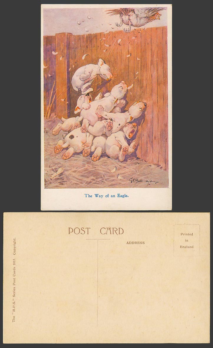 BONZO DOG G.E. Studdy Old Postcard The Way of an Eagle Chicken Bird Wall No.1015