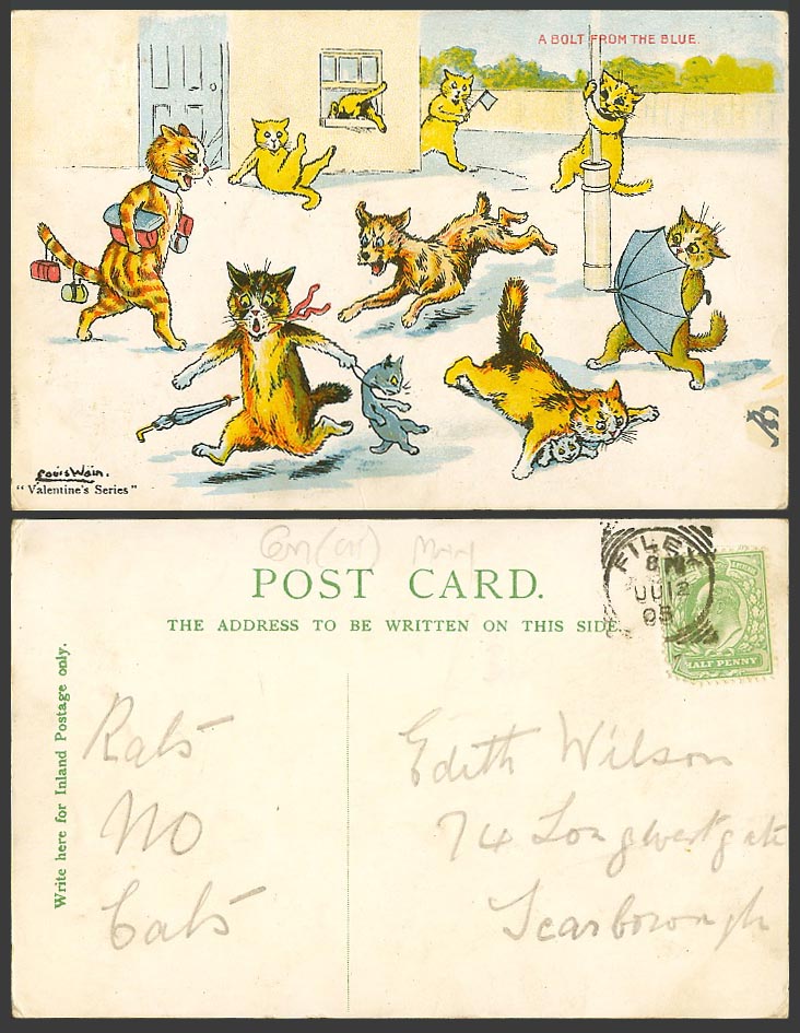 Louis Wain Artist Signed Cats Kittens Dog A Bolt from The Blue 1905 Old Postcard