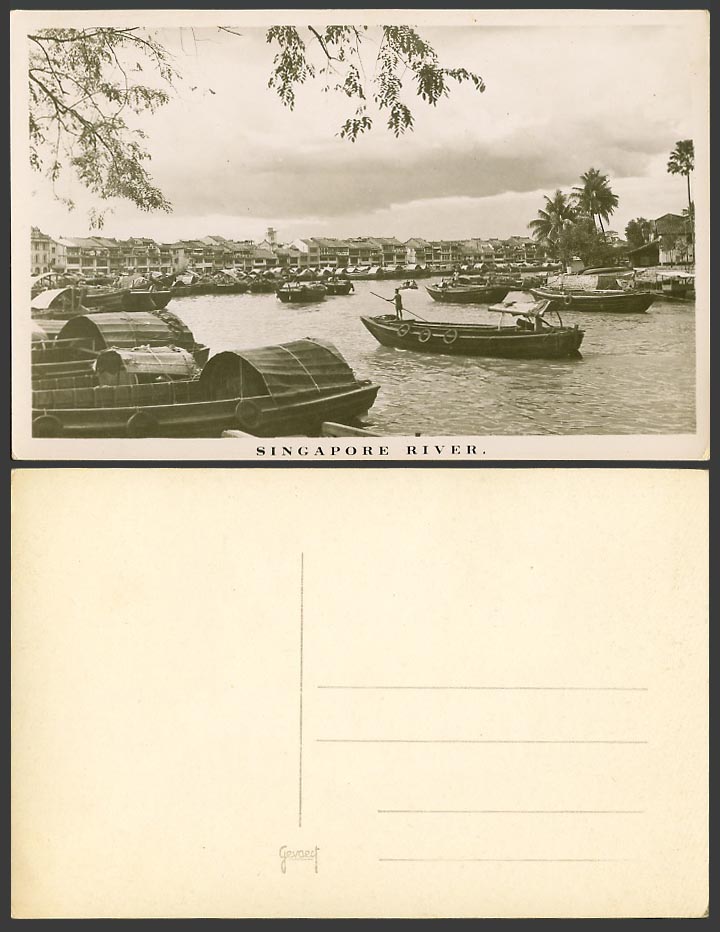 Singapore River Scene, Sampans Boats Harbour, Palm Trees Old Real Photo Postcard