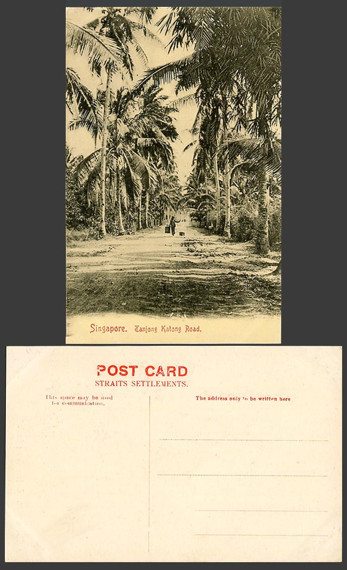 Singapore Old Postcard Tanjong Katong Road Street Scene Native Coolie Palm Trees