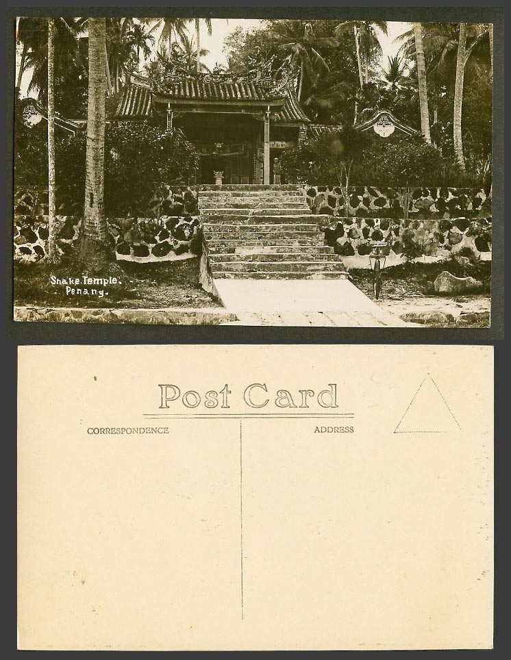 Penang Old Real Photo Postcard Snake Temple Entrance Steps, Palm Trees, Malaya