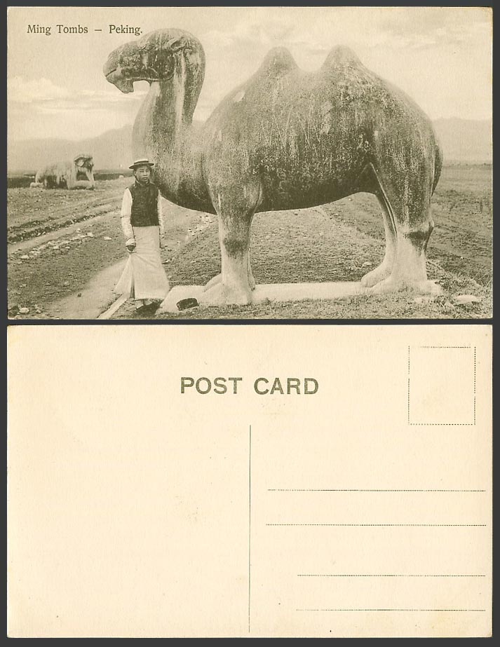 China Old Postcard Chinese Ming 13 Tombs Peking Camel Elephant Chinaman 北京 明朝十三陵