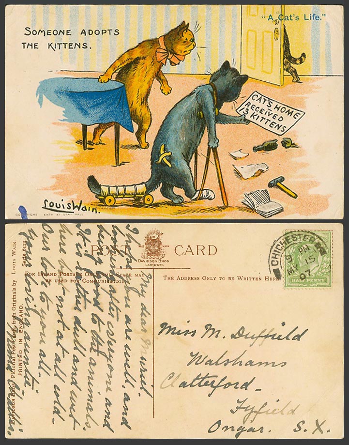 Louis Wain Artist Signed A Cat's Life 13 Kitten Someone Adopts 1907 Old Postcard