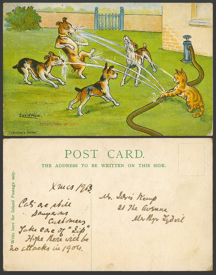 LOUIS WAIN Artist Signed Cat Dog Scratching Up Luck Water Hose 1903 Old Postcard