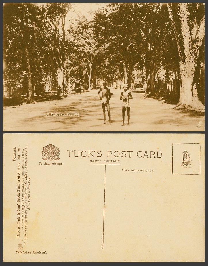 Penang, A Suburb Old Tuck's Postcard 2 Native Malay Men, Tree-lined Street Scene